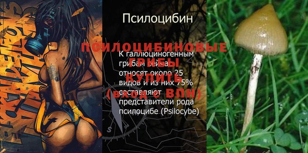 спайс Балабаново